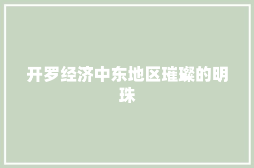 开罗经济中东地区璀璨的明珠 开罗经济中东地区璀璨的明珠
