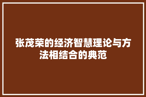 张茂荣的经济智慧理论与方法相结合的典范 张茂荣的经济智慧理论与方法相结合的典范