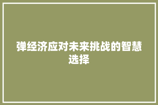 弹经济应对未来挑战的智慧选择 弹经济应对未来挑战的智慧选择