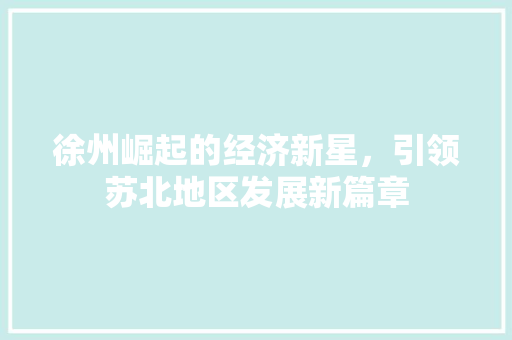 徐州崛起的经济新星,引领苏北地区发展新篇章 徐州崛起的经济新星,引领苏北地区发展新篇章
