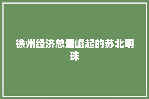 徐州经济总量崛起的苏北明珠 徐州经济总量崛起的苏北明珠