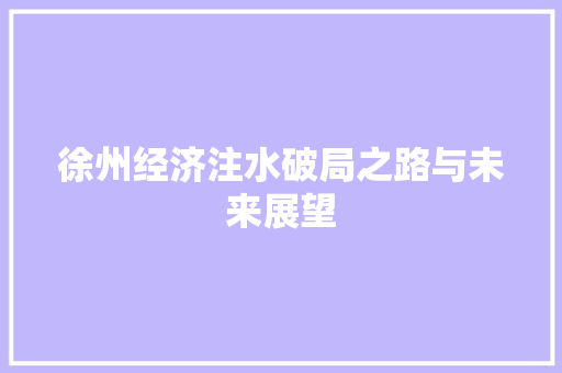 徐州经济注水破局之路与未来展望 徐州经济注水破局之路与未来展望