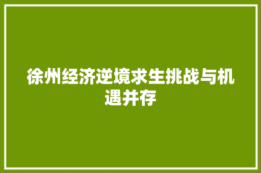 徐州经济逆境求生挑战与机遇并存 徐州经济逆境求生挑战与机遇并存