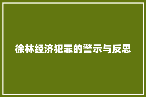 徐林经济犯罪的警示与反思 徐林经济犯罪的警示与反思