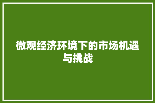 微观经济环境下的市场机遇与挑战 微观经济环境下的市场机遇与挑战