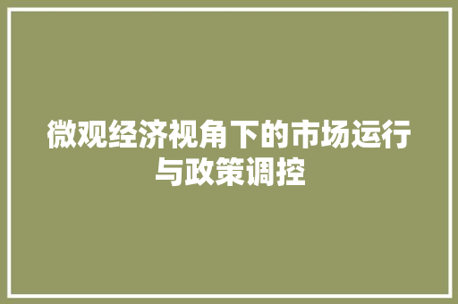 微观经济视角下的市场运行与政策调控 微观经济视角下的市场运行与政策调控