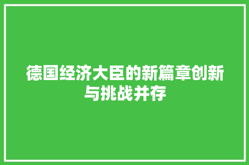 德国经济大臣的新篇章创新与挑战并存 德国经济大臣的新篇章创新与挑战并存
