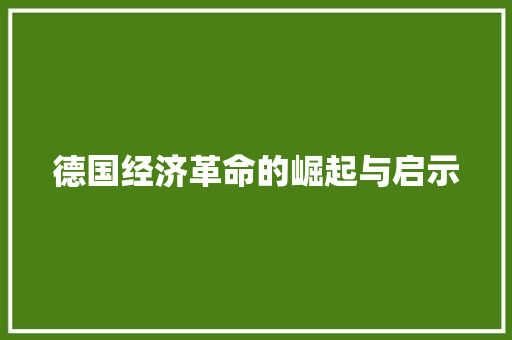 德国经济革命的崛起与启示 德国经济革命的崛起与启示