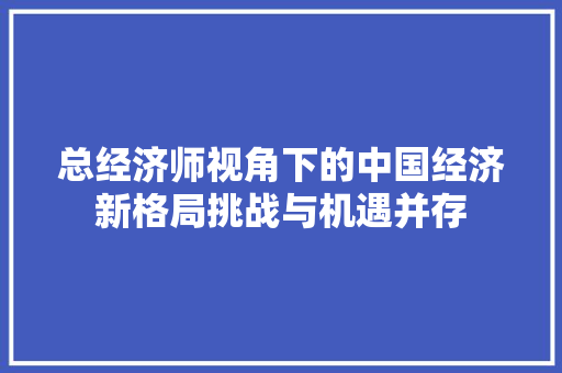 总经济师视角下的中国经济新格局挑战与机遇并存 总经济师视角下的中国经济新格局挑战与机遇并存