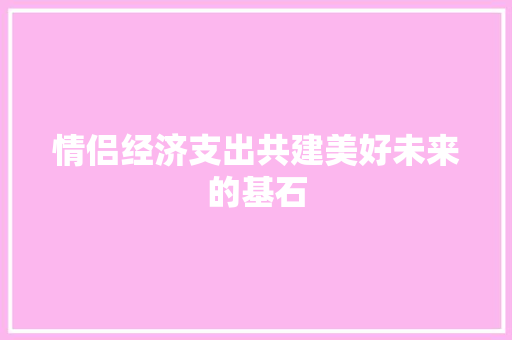 情侣经济支出共建美好未来的基石 情侣经济支出共建美好未来的基石