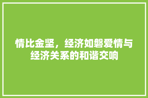 情比金坚,经济如磐爱情与经济关系的和谐交响 情比金坚,经济如磐爱情与经济关系的和谐交响
