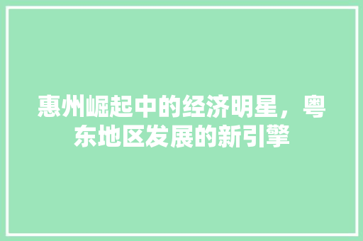 惠州崛起中的经济明星,粤东地区发展的新引擎 惠州崛起中的经济明星,粤东地区发展的新引擎