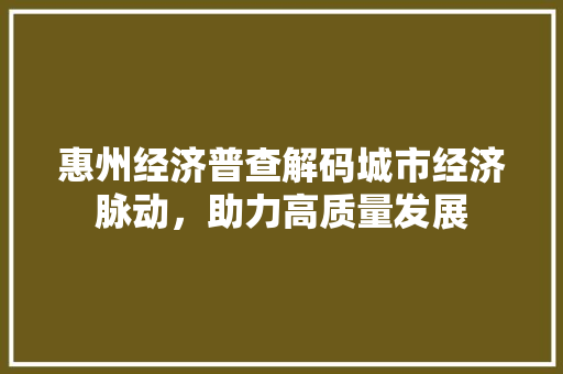 惠州经济普查解码城市经济脉动,助力高质量发展 惠州经济普查解码城市经济脉动,助力高质量发展