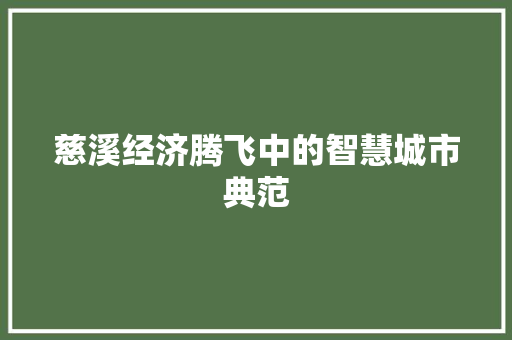 慈溪经济腾飞中的智慧城市典范 慈溪经济腾飞中的智慧城市典范