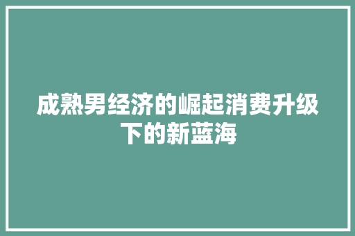成熟男经济的崛起消费升级下的新蓝海 成熟男经济的崛起消费升级下的新蓝海