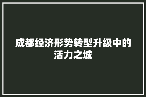 成都经济形势转型升级中的活力之城 成都经济形势转型升级中的活力之城