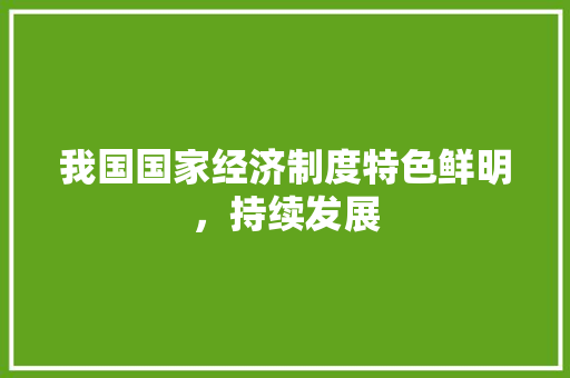 我国国家经济制度特色鲜明,持续发展 我国国家经济制度特色鲜明,持续发展