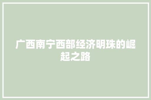 广西南宁西部经济明珠的崛起之路 广西南宁西部经济明珠的崛起之路