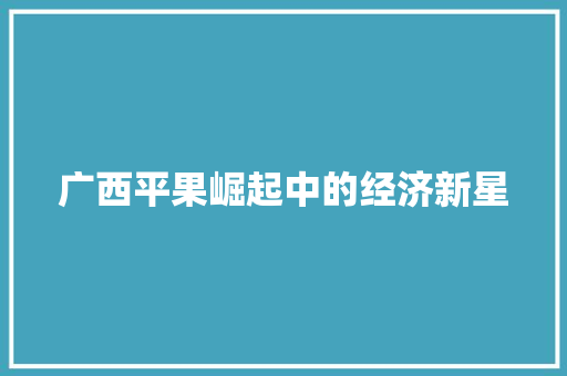 广西平果崛起中的经济新星