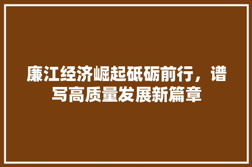 廉江经济崛起砥砺前行,谱写高质量发展新篇章 廉江经济崛起砥砺前行,谱写高质量发展新篇章