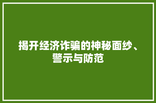 揭开经济诈骗的神秘面纱、警示与防范 揭开经济诈骗的神秘面纱、警示与防范