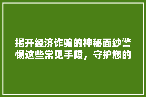 揭开经济诈骗的神秘面纱警惕这些常见手段,守护您的财产安全 揭开经济诈骗的神秘面纱警惕这些常见手段,守护您的财产安全