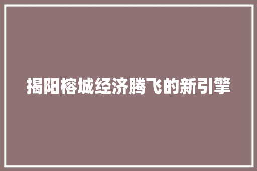 揭阳榕城经济腾飞的新引擎 揭阳榕城经济腾飞的新引擎