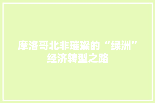 摩洛哥北非璀璨的“绿洲”经济转型之路 摩洛哥北非璀璨的“绿洲”经济转型之路