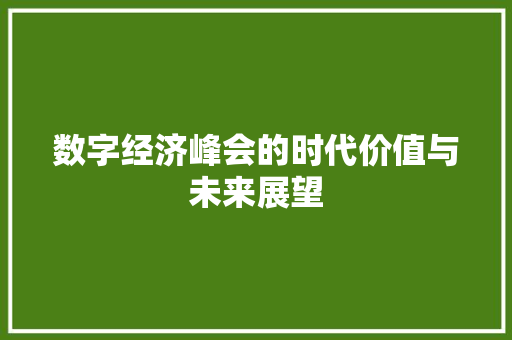数字经济峰会的时代价值与未来展望 数字经济峰会的时代价值与未来展望