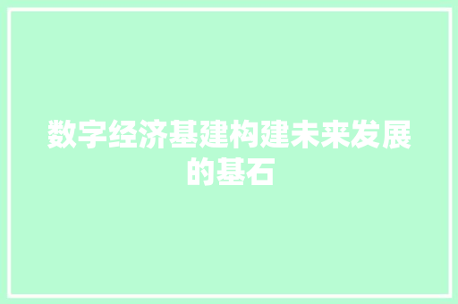 数字经济基建构建未来发展的基石 数字经济基建构建未来发展的基石