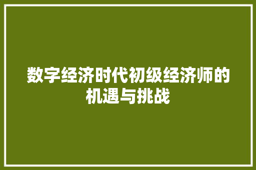 数字经济时代初级经济师的机遇与挑战 数字经济时代初级经济师的机遇与挑战