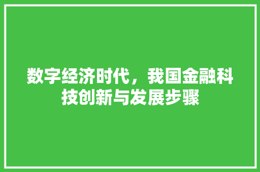 数字经济时代,我国金融科技创新与发展步骤 数字经济时代,我国金融科技创新与发展步骤