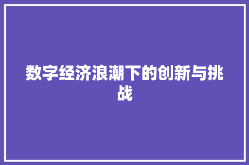 数字经济浪潮下的创新与挑战 数字经济浪潮下的创新与挑战