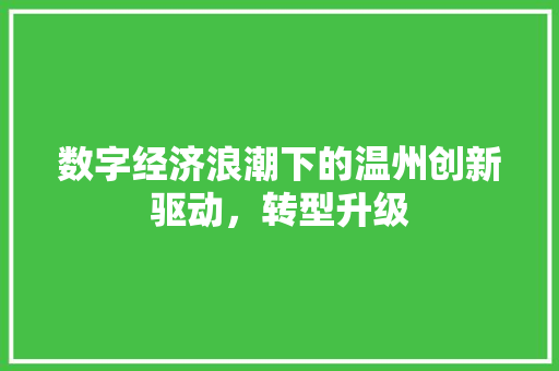 数字经济浪潮下的温州创新驱动,转型升级 数字经济浪潮下的温州创新驱动,转型升级