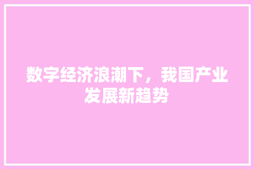 数字经济浪潮下，我国产业发展新趋势