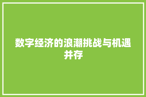 数字经济的浪潮挑战与机遇并存 数字经济的浪潮挑战与机遇并存