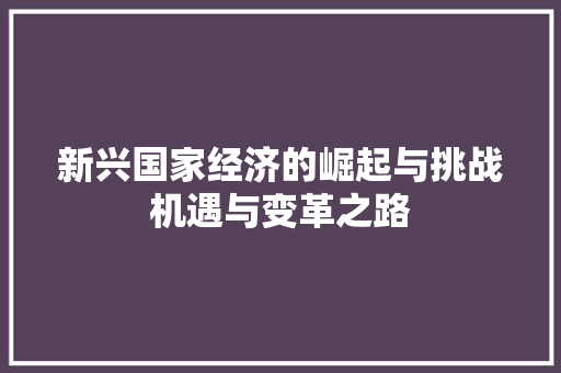 新兴国家经济的崛起与挑战机遇与变革之路 新兴国家经济的崛起与挑战机遇与变革之路