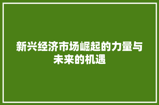 新兴经济市场崛起的力量与未来的机遇 新兴经济市场崛起的力量与未来的机遇