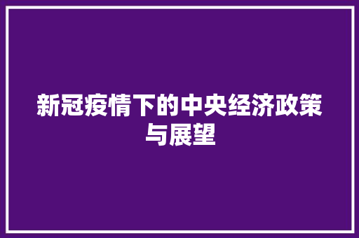 新冠疫情下的中央经济政策与展望 新冠疫情下的中央经济政策与展望