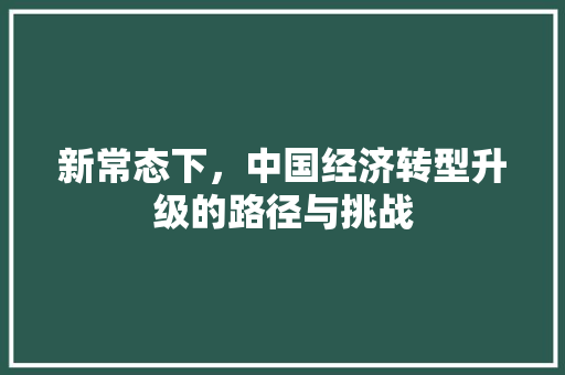 新常态下,中国经济转型升级的路径与挑战 新常态下,中国经济转型升级的路径与挑战