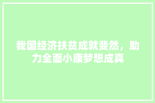 我国经济扶贫成就斐然,助力全面小康梦想成真 我国经济扶贫成就斐然,助力全面小康梦想成真