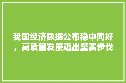 我国经济数据公布稳中向好,高质量发展迈出坚实步伐 我国经济数据公布稳中向好,高质量发展迈出坚实步伐