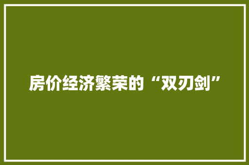 房价经济繁荣的“双刃剑” 房价经济繁荣的“双刃剑”