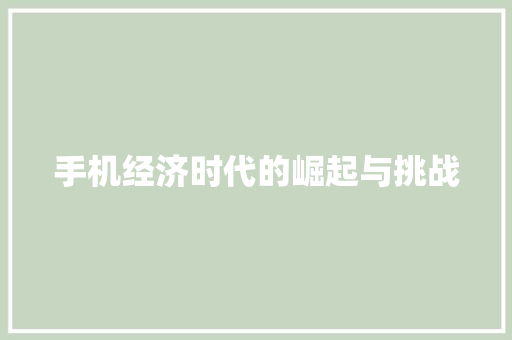 手机经济时代的崛起与挑战 手机经济时代的崛起与挑战
