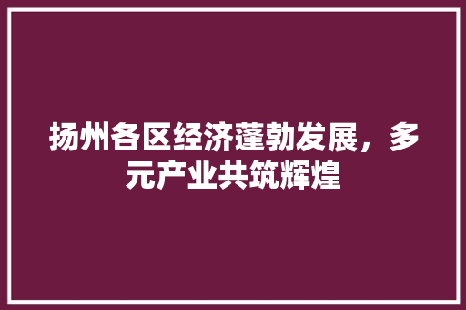 扬州各区经济蓬勃发展,多元产业共筑辉煌 扬州各区经济蓬勃发展,多元产业共筑辉煌