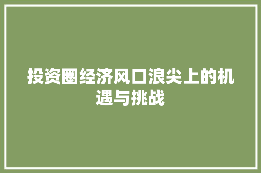 投资圈经济风口浪尖上的机遇与挑战 投资圈经济风口浪尖上的机遇与挑战