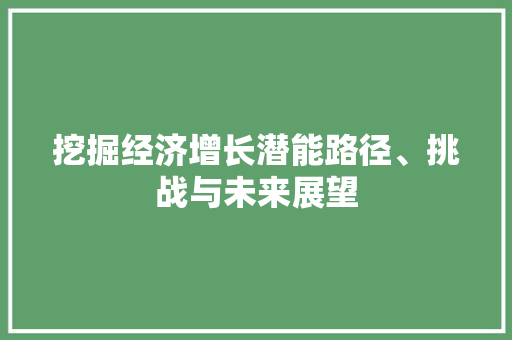 挖掘经济增长潜能路径、挑战与未来展望 挖掘经济增长潜能路径、挑战与未来展望