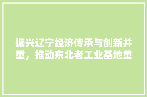振兴辽宁经济传承与创新并重，推动东北老工业基地重焕生机