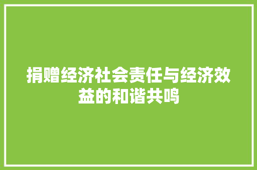 捐赠经济社会责任与经济效益的和谐共鸣 捐赠经济社会责任与经济效益的和谐共鸣