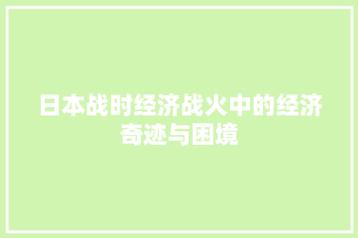日本战时经济战火中的经济奇迹与困境 日本战时经济战火中的经济奇迹与困境